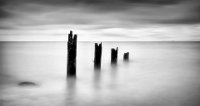 539 - DEFENCELESS - STELLING JULIAN - united kingdom <div